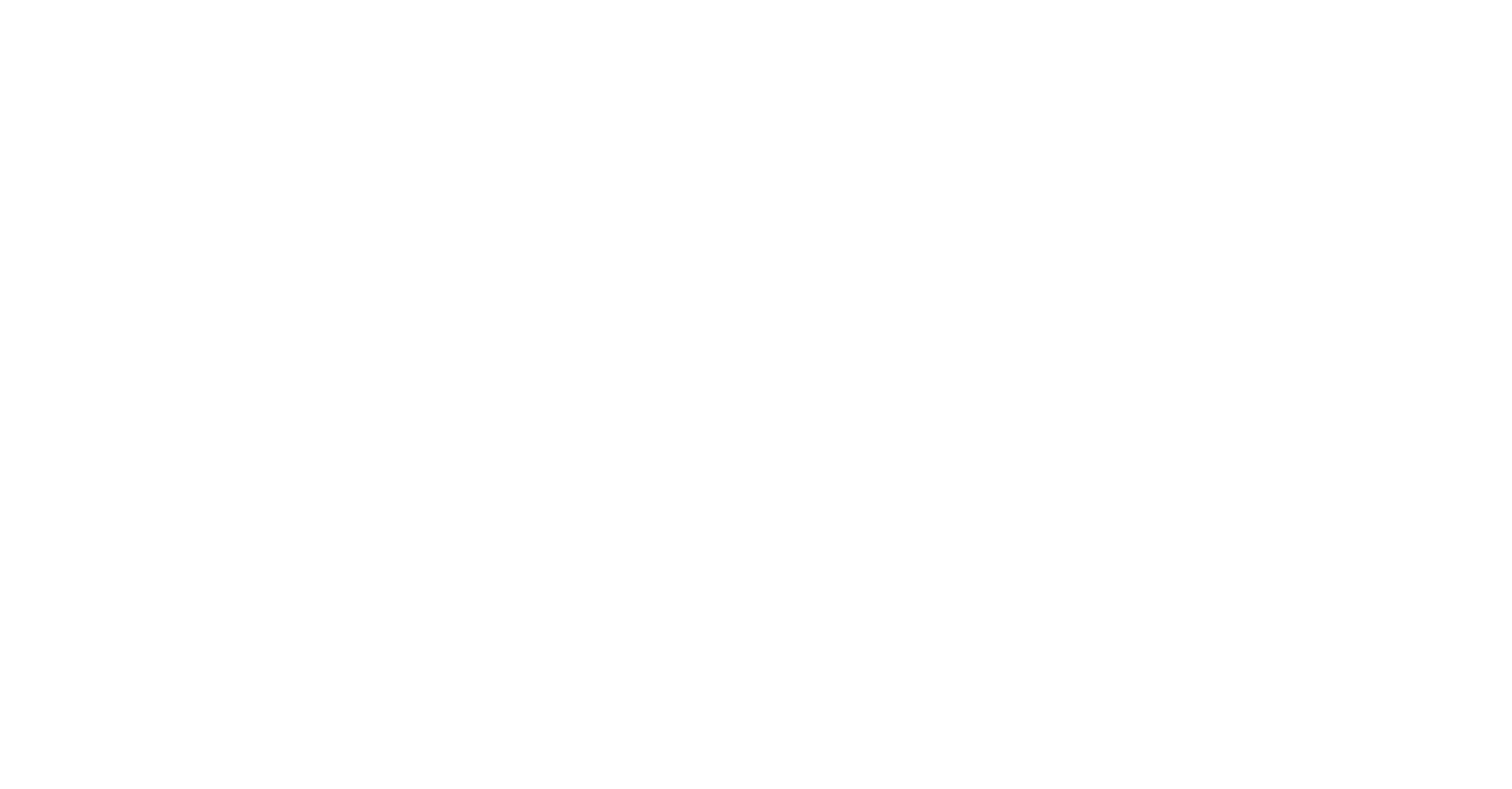 The Everest Holding
